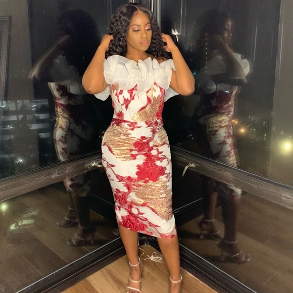 ❣️Lace Brocade Dress❣️ - Picture 5 of 7